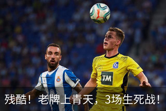 残酷！老牌上青天，3场生死战！青岛海牛5天内双线连遇申花津门虎